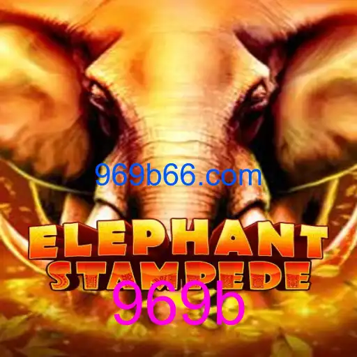 ElephantStampede